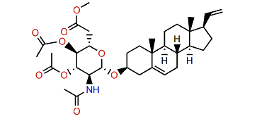 Muricin 1